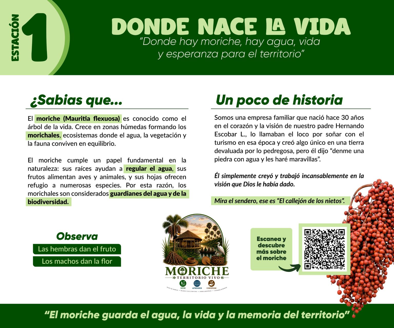 Museo 1