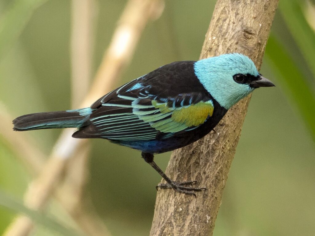 1200