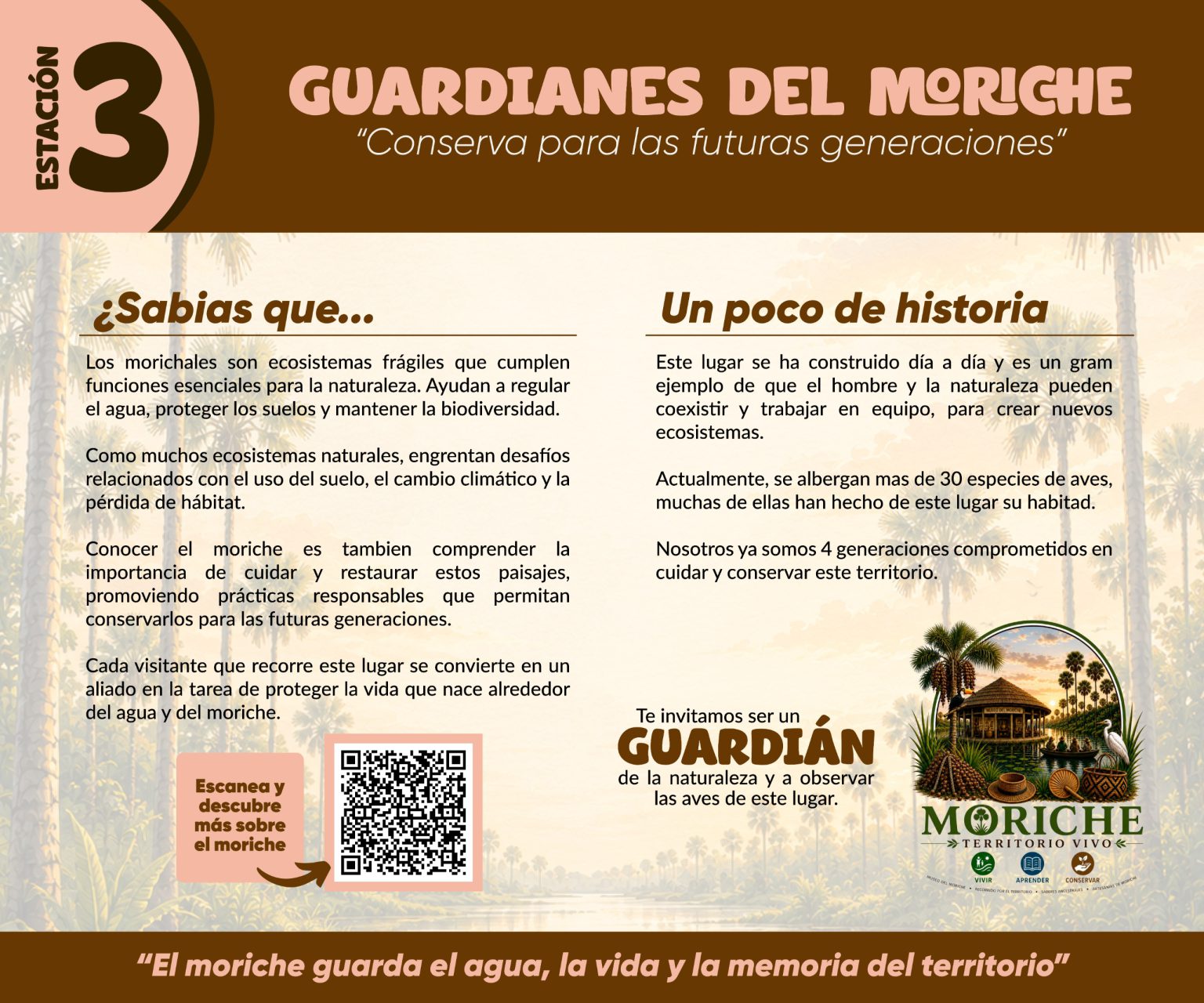 Museo 3