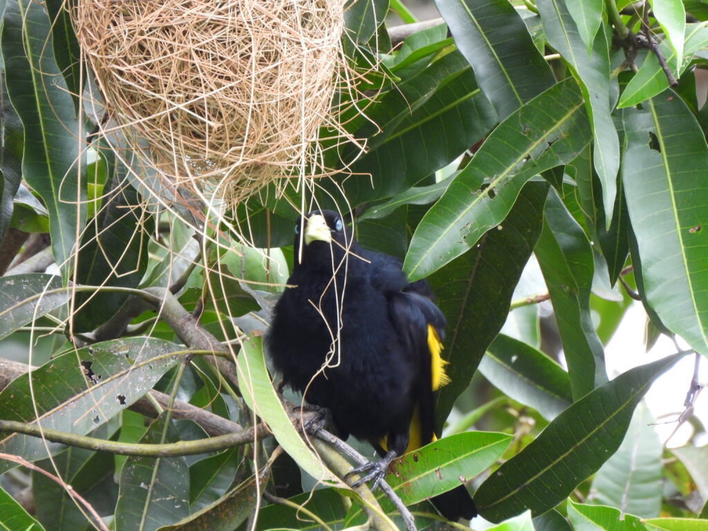 dscn0018