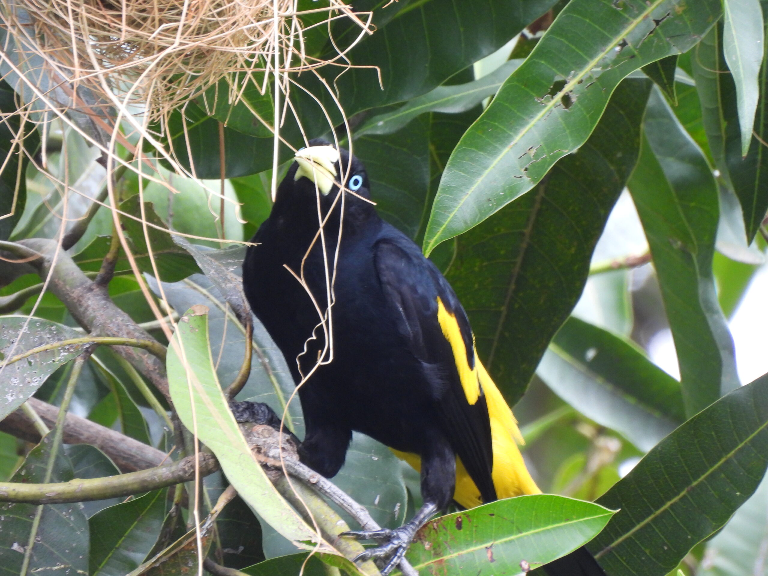 dscn0020